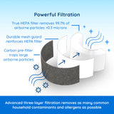Honeywell HEPA filter replacement, HEPA and carbon pre filter, 10500 EV-10 HEPA filter, 17000 air purifier filter